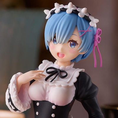 REM3